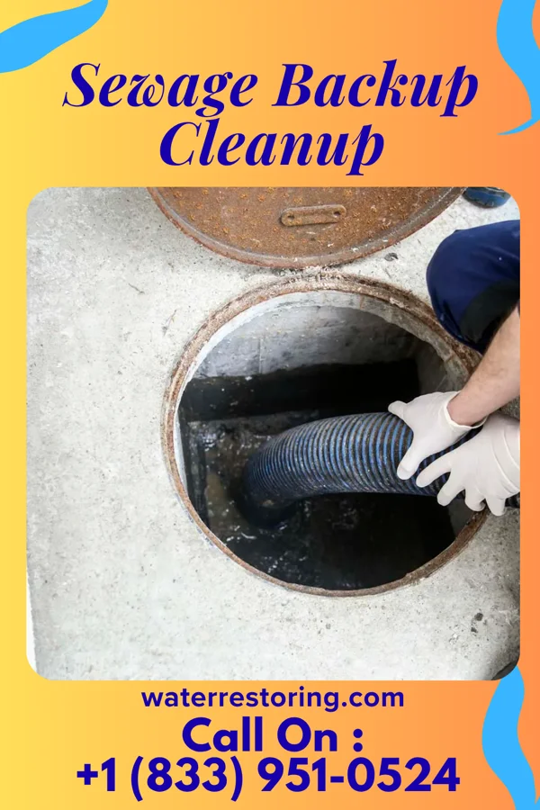 Sewage Backup Cleanup in Saybrook Manor, CT